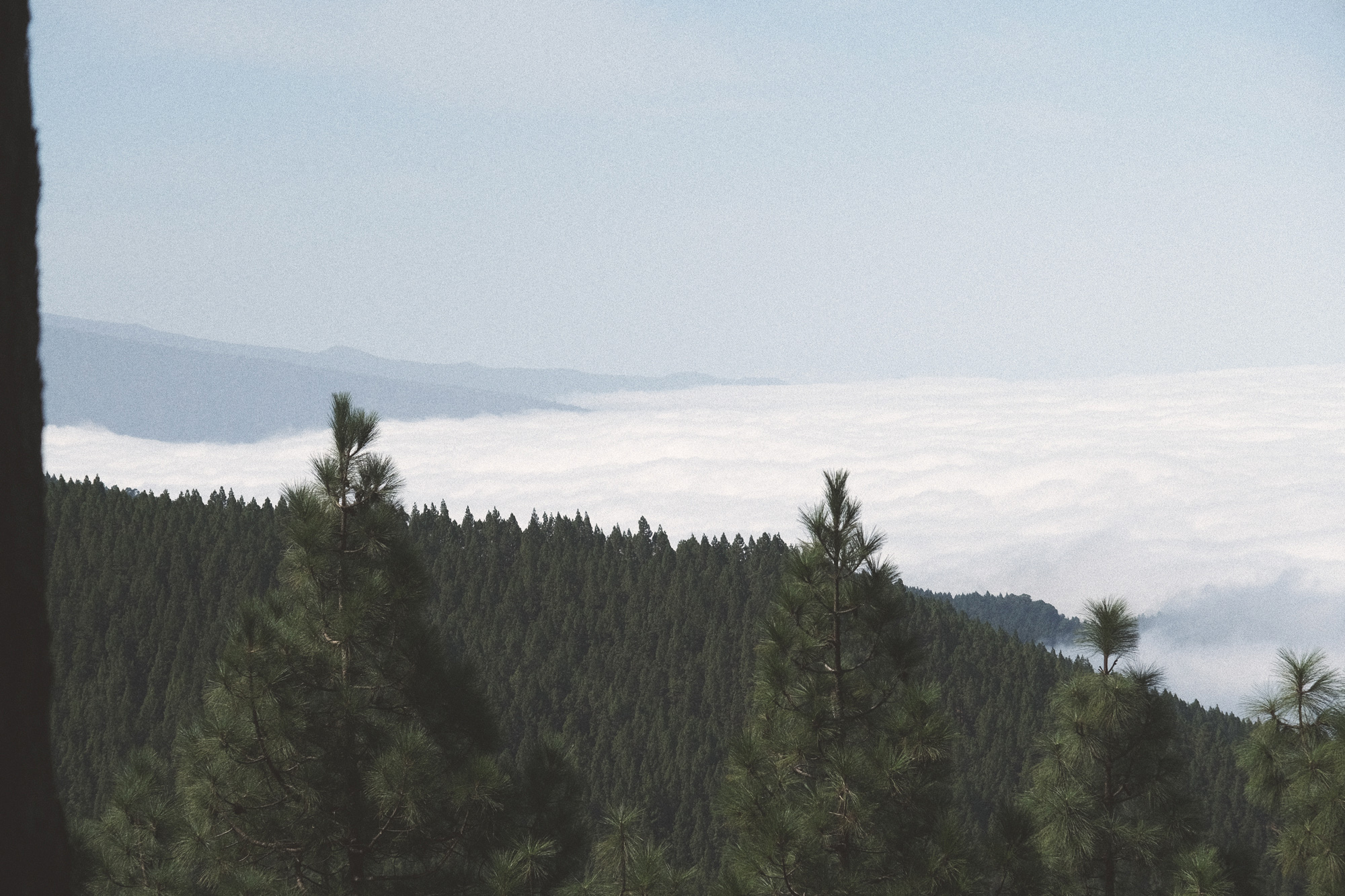mar-de-nubes